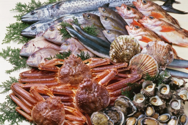 カテゴリー１の１の１