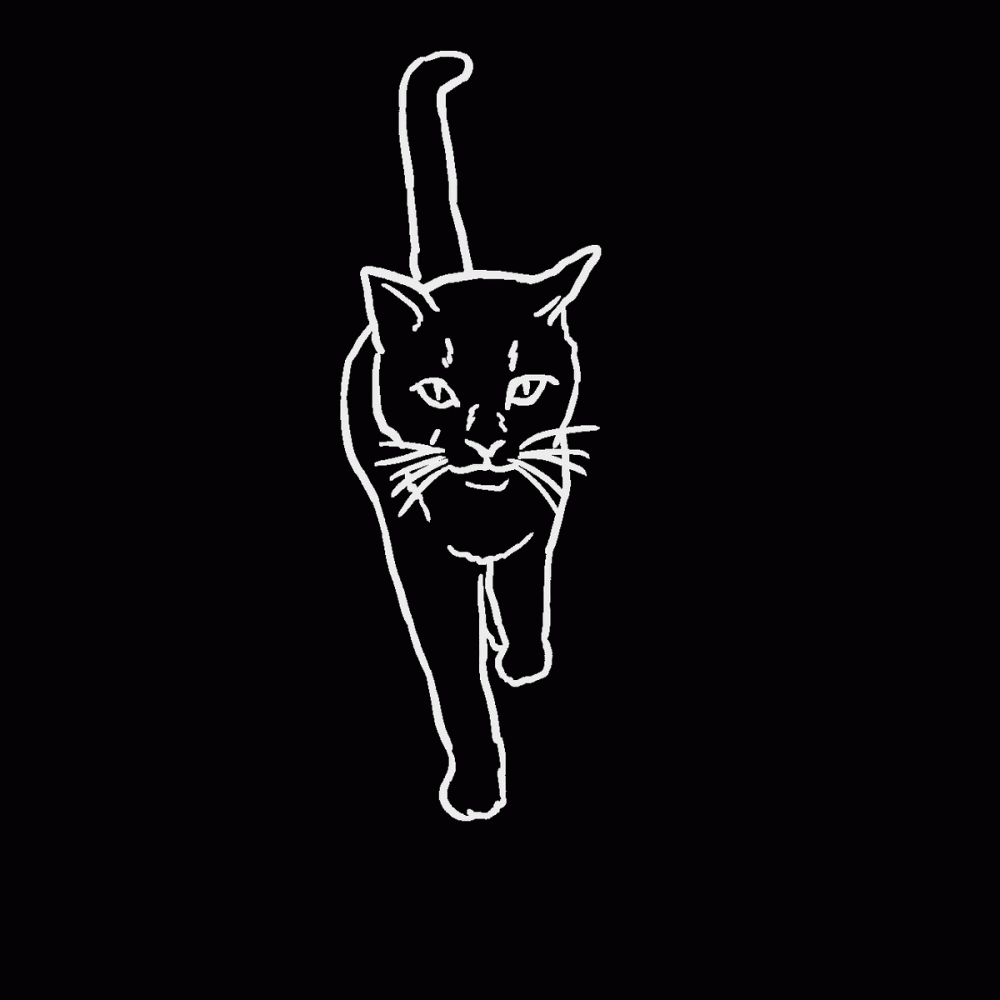 cat walk限定コラボTシャツ